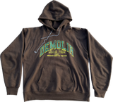 Demolir 2022 World Tour Vol.2 Brown Hoodie